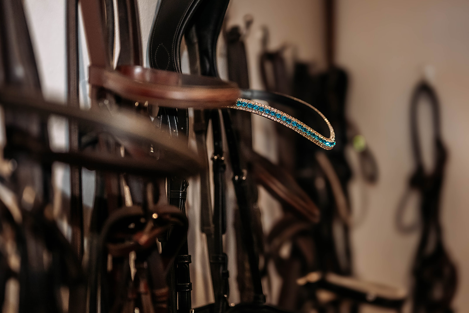 Saddles and bridles hanging in the tack room