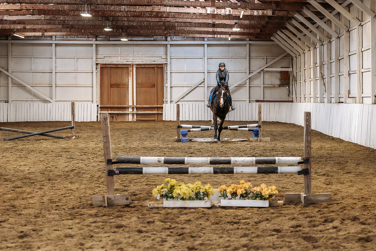 The indoor arena set with jumps