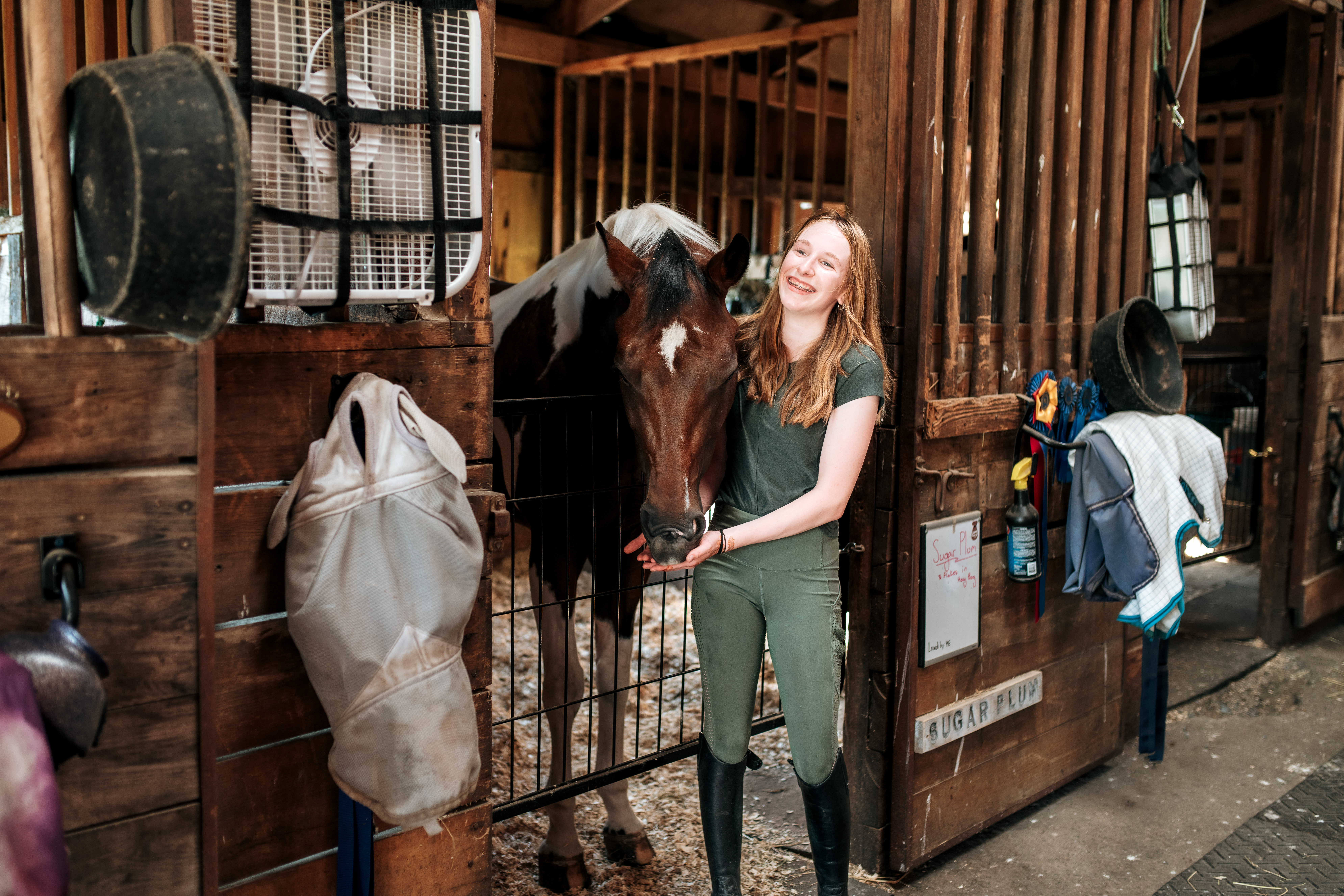 Horses in the stalls along the barn aisle
